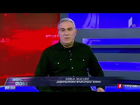 მზადება პოლიტიკური დიალოგისთვის - „დღის თემის“ შეკითხვებს ნუგზარ წიკლაურმა უპასუხა